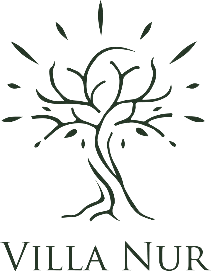 Villa Nur Logo